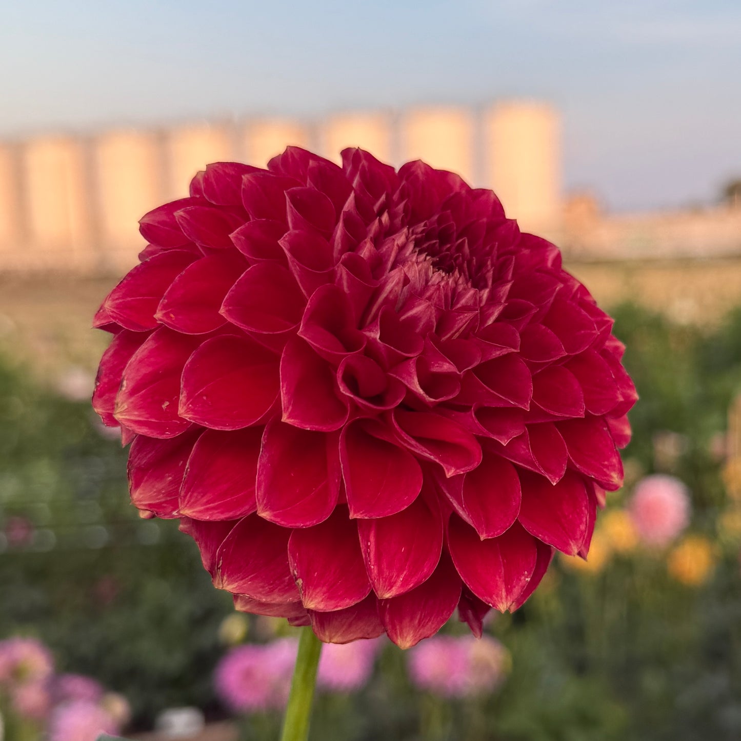 
                  
                    ORF Sunday Storm - Tuber
                  
                