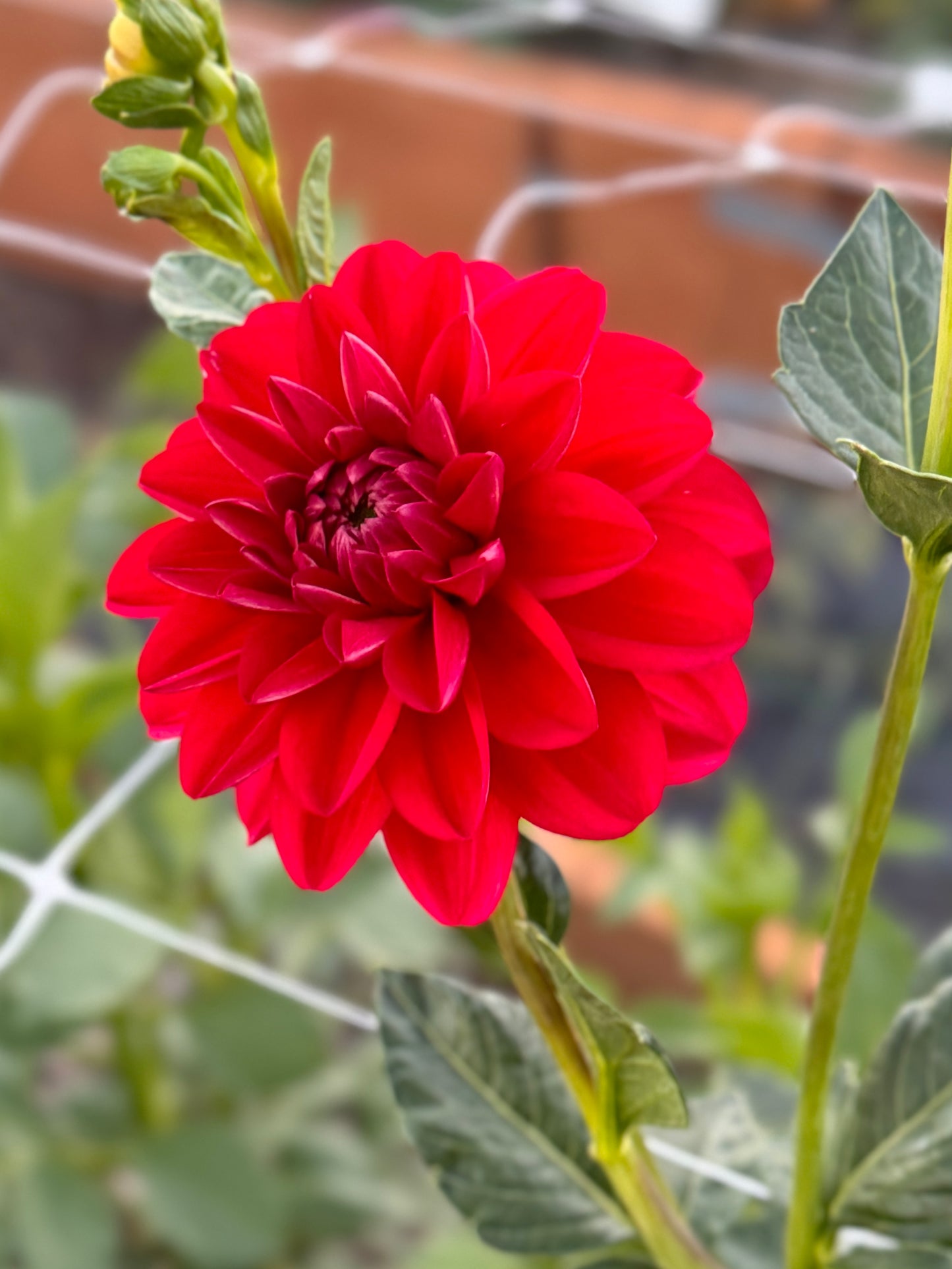 
                  
                    Javier G - Tuber POT TUBER
                  
                